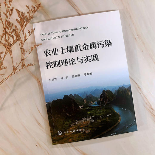 农业土壤重金属污染控制理论与实践 商品图2