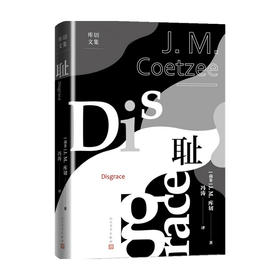 耻 J.M.库切 著 文学