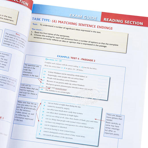 【中商原版】Succeed in IELTS Academic 11 (8+3) Practice Tests Self-Study Edition 雅思学术考试自学套装 含答案 12岁以上 商品图3