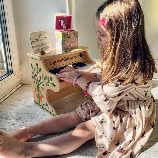 DJECO曼波儿童幼童电子小钢琴（2款） 商品图1