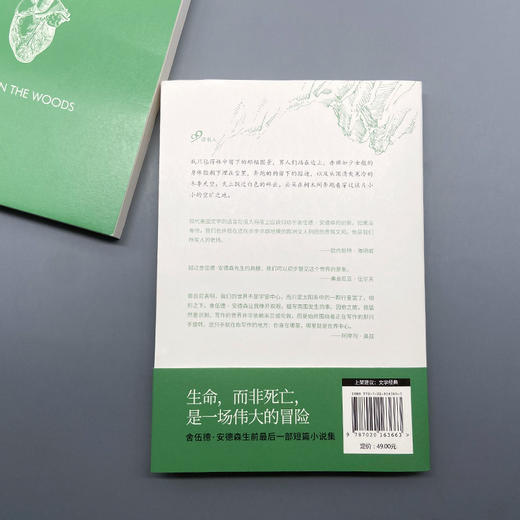林中之死（舍伍德·安德森作品集）3001110 商品图5