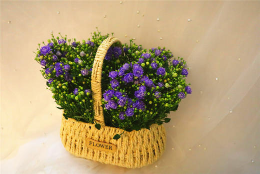 丹麦风铃二选一 商品图1