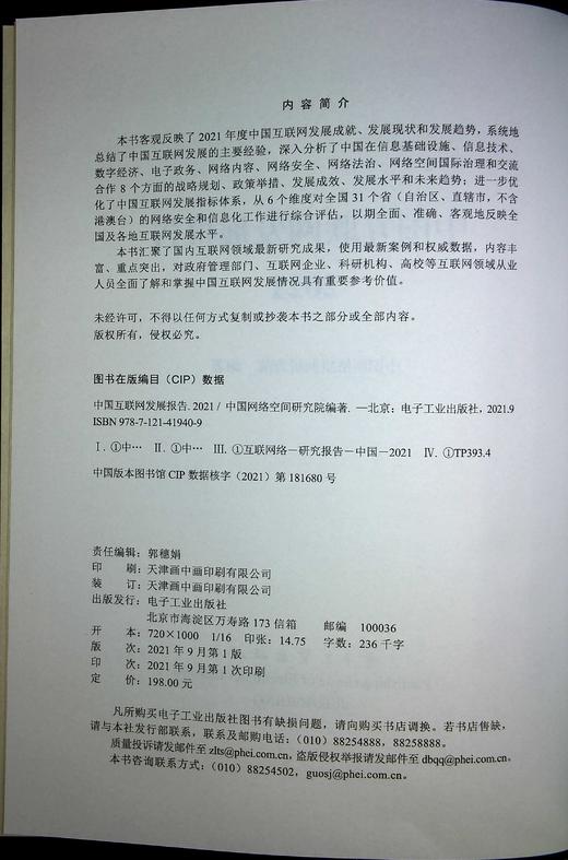 中国互联网发展报告2021 商品图1