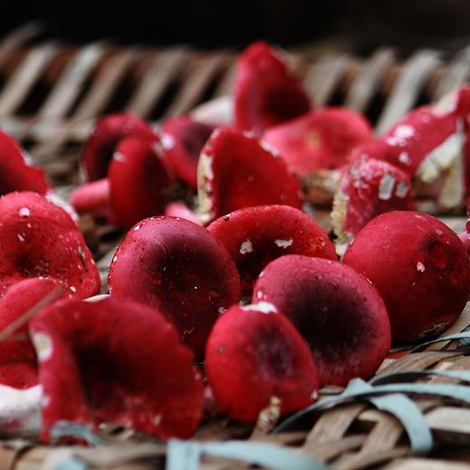 吉顺号食品-大红菇干菌  云南红菇 优选大菇 红蘑菇100g/盒 商品图1