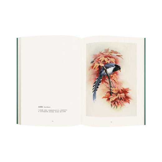 花叶 曾孝濂科学生物画 科学生物画套装 赠《自然原稿》笔记本 无一花无出处，无一叶无根据 读库 商品图4