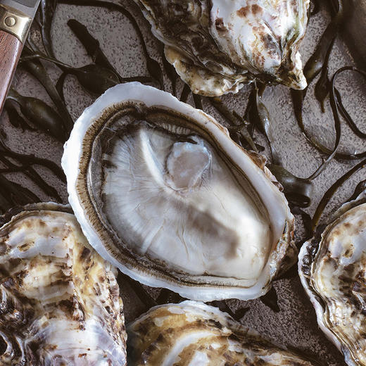 【单只现货】玫瑰粉钻生蚝 (Tarbouriech) 商品图2