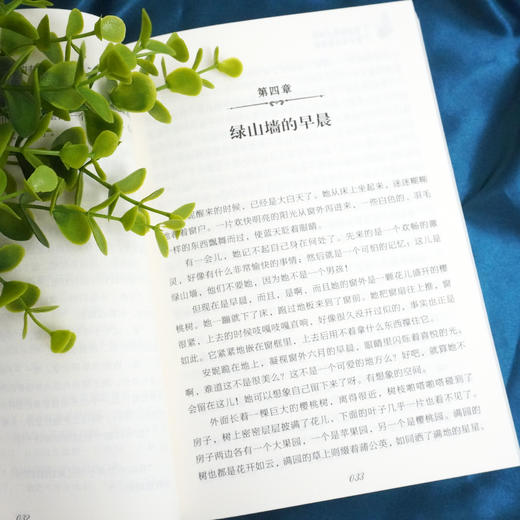 绿山墙的安妮 给儿童的心灵读物 青少年读物 梅子涵作序推荐 商品图3