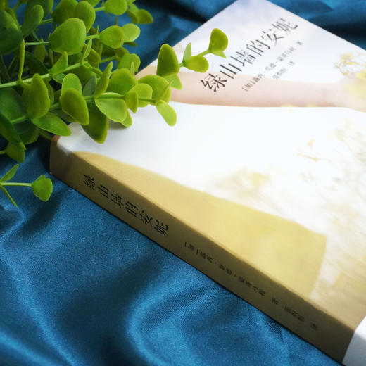 绿山墙的安妮 给儿童的心灵读物 青少年读物 梅子涵作序推荐 商品图2