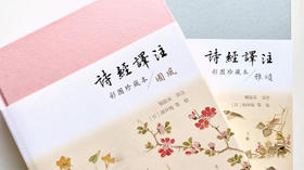  从未被超越的国产神作，每个中国人都应该读一读 