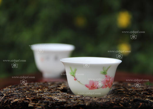 景德镇陶瓷 国瓷红叶 8头手绘茶具（金品小壶水点桃花） 商品图1