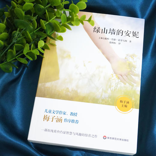 绿山墙的安妮 给儿童的心灵读物 青少年读物 梅子涵作序推荐 商品图1