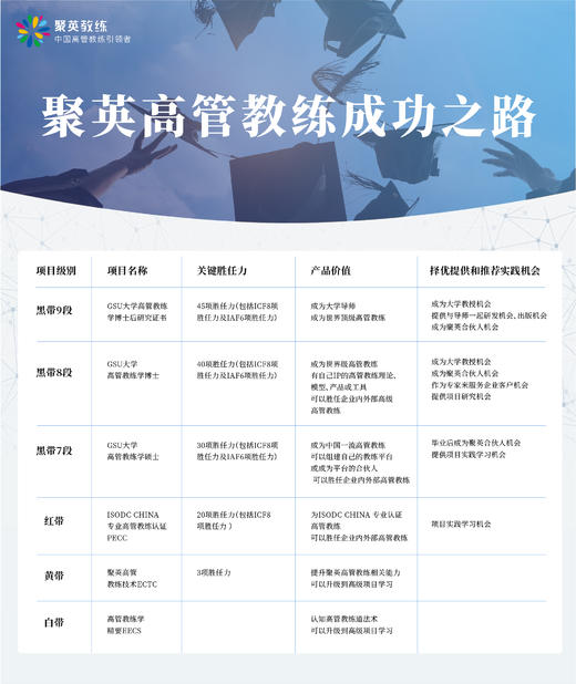 聚英高管教练成功之路 商品图0