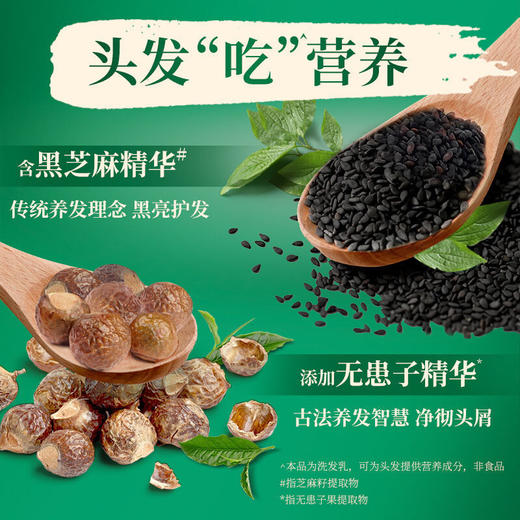 【批发团购】夏士莲洗发露750g（箱规6）9件送1件 商品图2