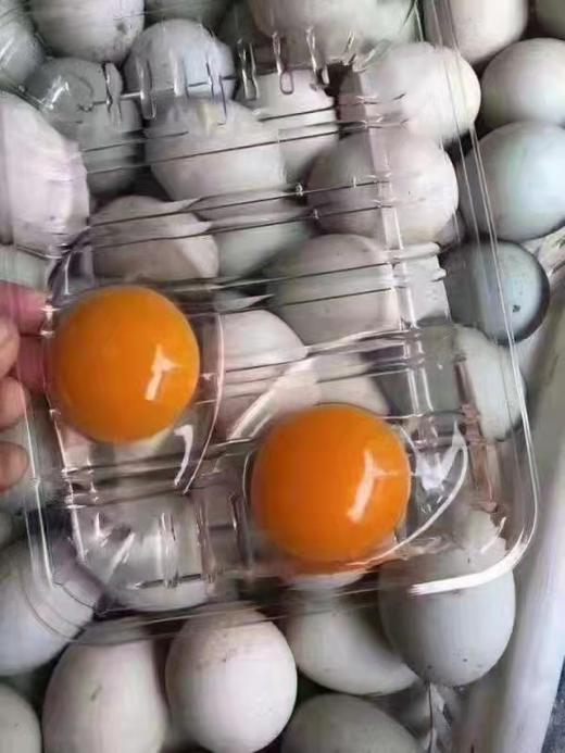 象山海鸭蛋 20枚/盒 商品图3