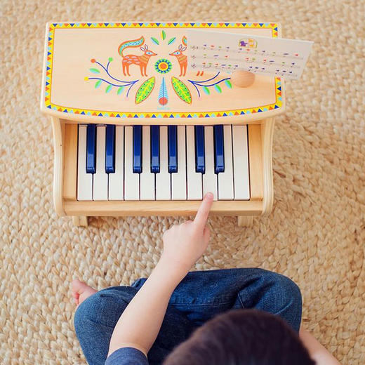 DJECO曼波儿童幼童电子小钢琴（2款） 商品图2