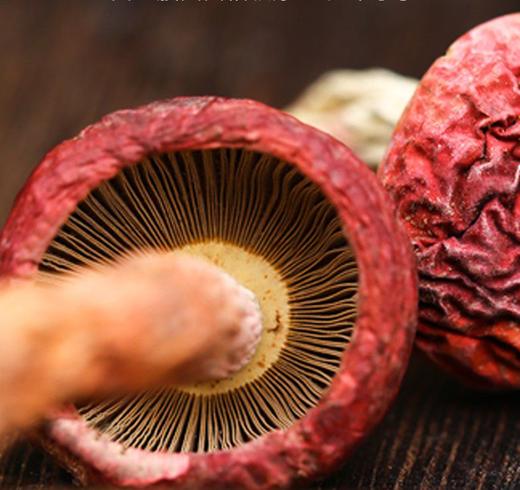 吉顺号食品-大红菇干菌  云南红菇 优选大菇 红蘑菇100g/盒 商品图7