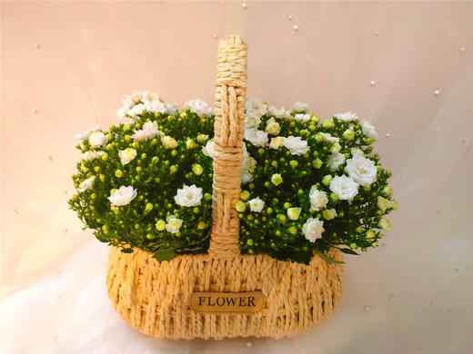 丹麦风铃二选一 商品图8