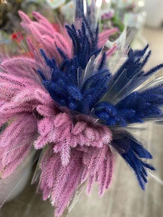 染色狗尾巴草深粉色深蓝色约910支扎