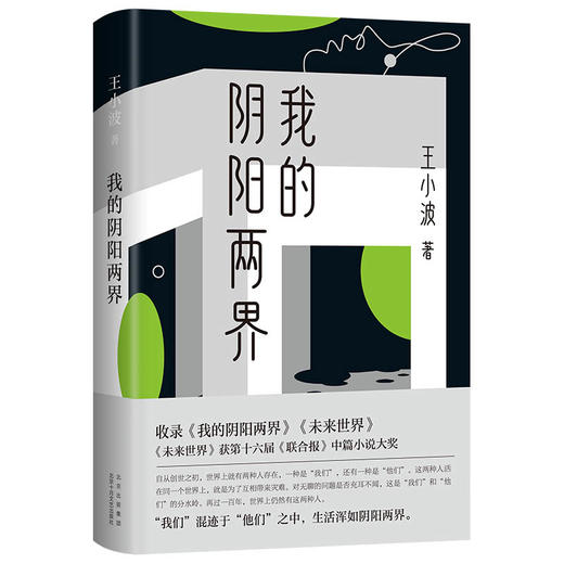 现货正版 王小波： 我的阴阳两界  商品图2