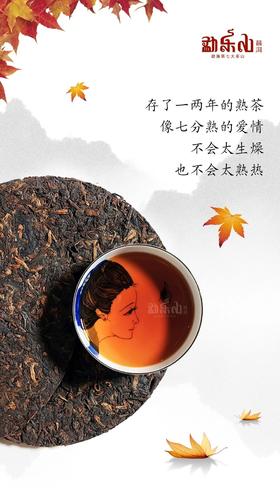 干燥的秋天，应有你相伴——勐乐山名山知味熟普系列