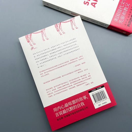 马与人（舍伍德·安德森作品集）3001109 商品图5