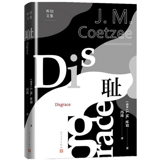 耻 J.M.库切 著 文学 商品图1