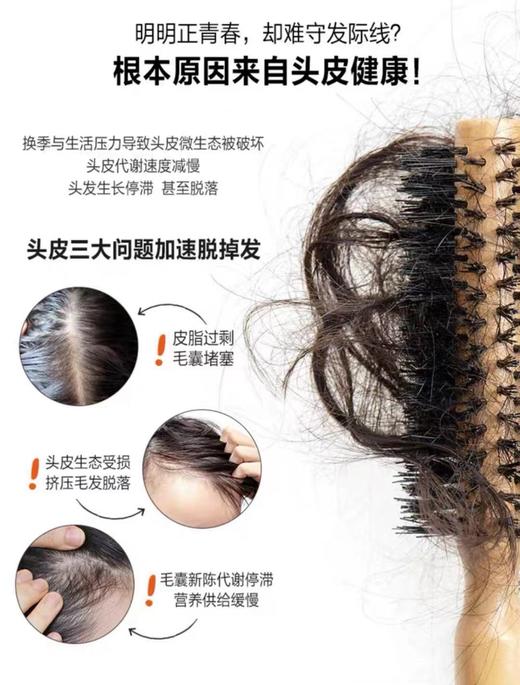 大卫尼斯 自然活力换季护发精华液(100ml) 商品图3