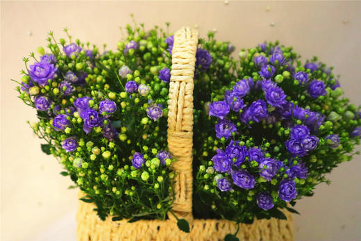 丹麦风铃二选一 商品图3