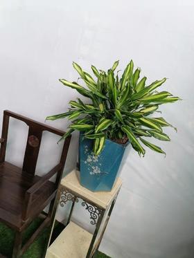 多边陶瓷盆—螺纹铁