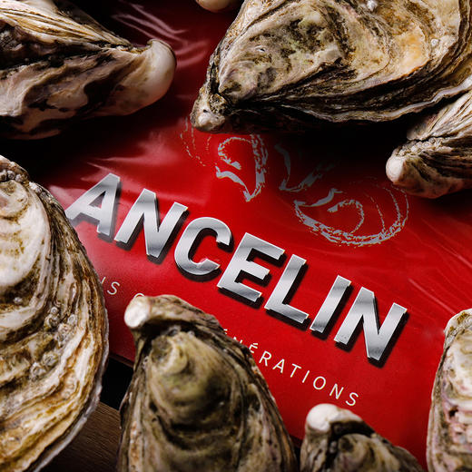 【单只现货】安芝莲 (精选红标)生蚝 (Ancelin) 商品图0