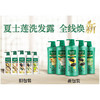 【批发团购】夏士莲洗发露750g（箱规6）9件送1件 商品缩略图3