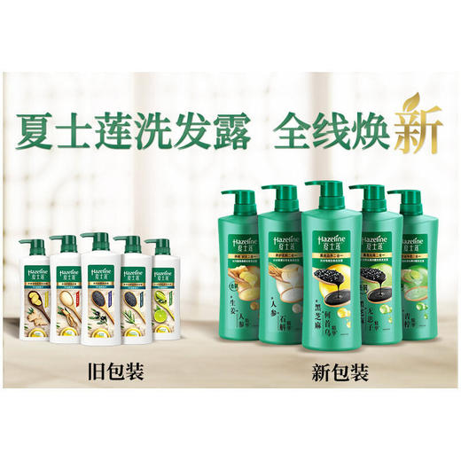 【批发团购】夏士莲洗发露750g（箱规6）9件送1件 商品图3