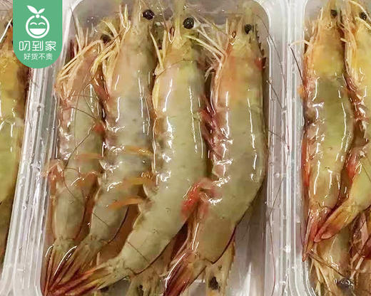 本港冰鲜大红虾/1份（10-15条，共400g±30） 商品图3