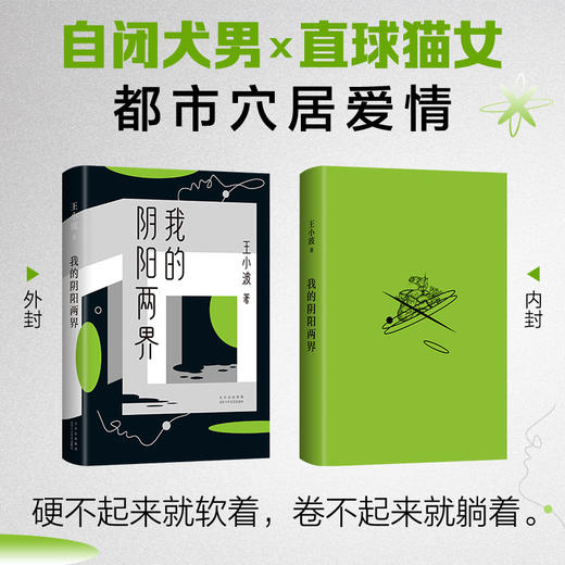 现货正版 王小波： 我的阴阳两界  商品图1