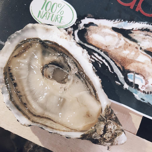 【单只现货】嘉宝丽(白珍珠)生蚝 (Gaboriau) 商品图0