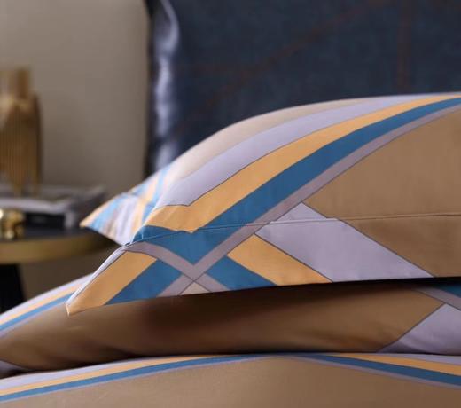 【6F】宜庭｜赫尔德全面四件套200/220 商品图2