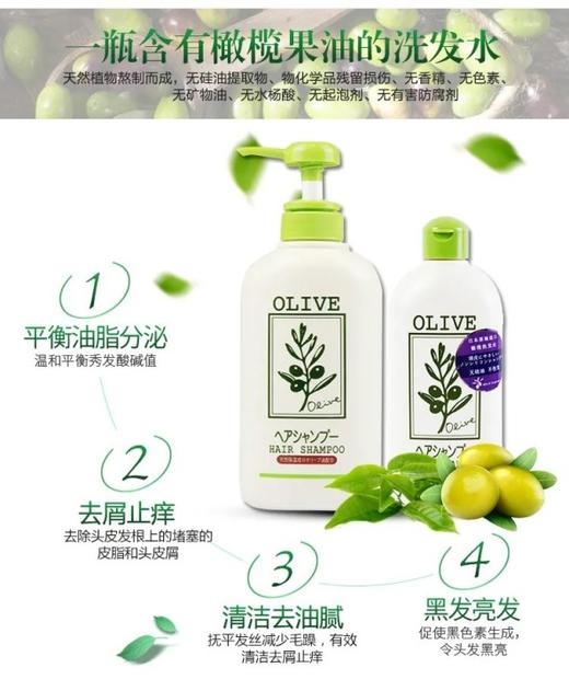 奥丽肤无硅油洗发水+护肤素 兲然橄榄油成分 孕妇宝宝都可用｜推崇自然之美 优选植物原料 平衡水油 滋养头发头皮 不假滑 柔嫩顺滑 盈亮秀发 摆脱毛躁 强韧发质 500ml家庭装 商品图1