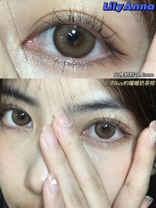 半年抛 lilyanna 美瞳 山楂树棕/山楂树蓝 商品图12