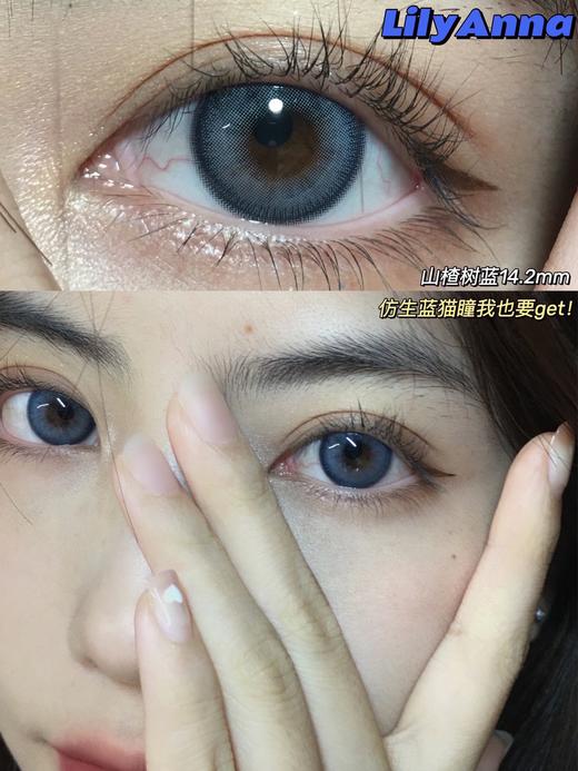 半年抛 lilyanna 美瞳 山楂树棕/山楂树蓝 商品图11