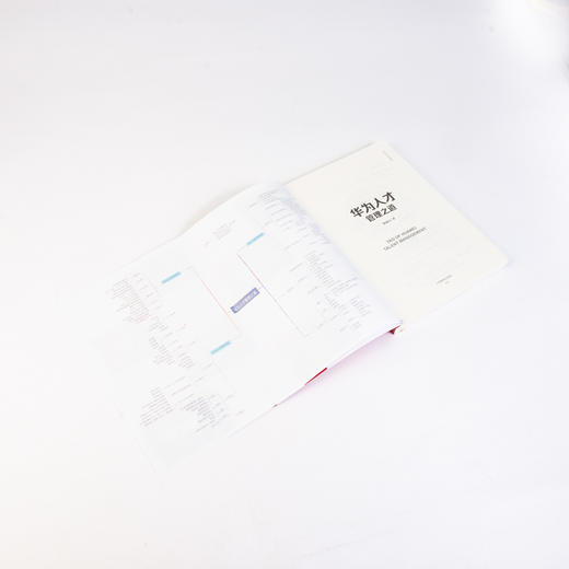 华为人才管理之道 商品图8