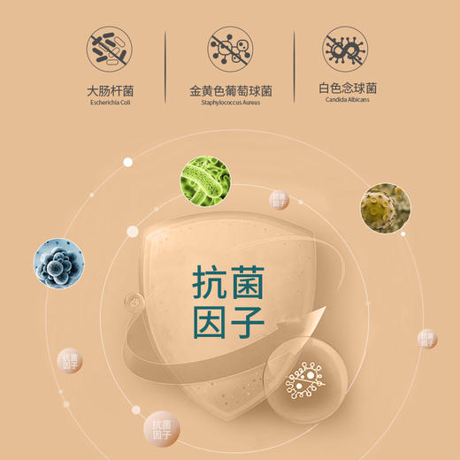 木本木米亲子（成人款）无感肌底衣 商品图2