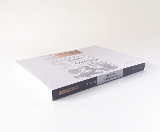 用药珍珠囊 珍珠囊补遗药性赋 点校注释修订本（中国古医籍整理丛书）本草58 (元)李杲 (明)熊宗立 编 中国中医药出版社 商品图3