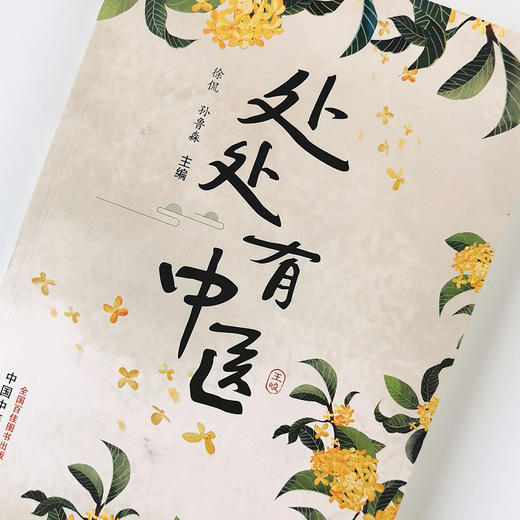 正版 现货 【出版社直销】 处处有中医  徐侃 孙鲁淼 著 中国中医药出版社 中医书籍  中医科普 养生 保健 商品图1