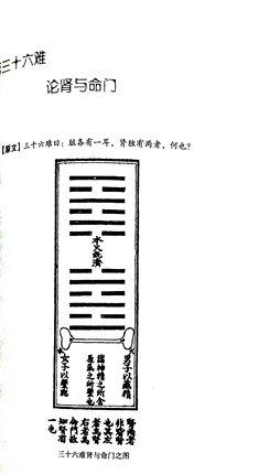 图注八十一难经译 王树权 译 中国中医药出版社 中医书籍 商品图4