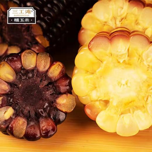 新疆三工滩有机玉米8根真空包装4黄2黑2花新疆美食 商品图2