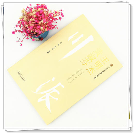 正版 现货【出版社直销】王明杰 黄淑芬 川派中医药名家系列丛书 江花 江玉 著 中国中医药出版社 中医临床 书籍 商品图2