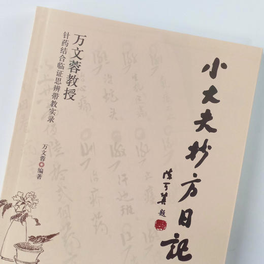 现货 正版【出版社直销】小大夫抄方日记 万文蓉教授针药结合临证思辨带教实录 万文蓉 编 中国中医药出版社 中医临床 书籍 商品图3
