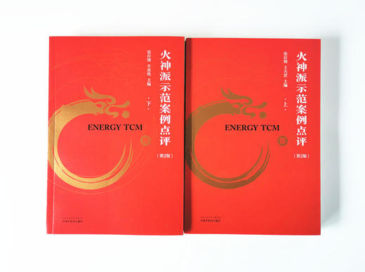 现货 正版【出版社直销】套装共2册 火神派示范案例点评（上+下）第二2版 张存悌 编 中国中医药出版社 中医临床 治案 火神派 案例 商品图1