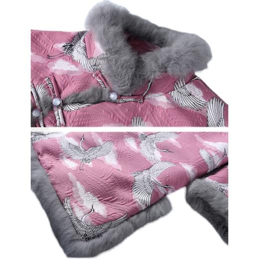 裁缝学苑AG198 女装新款2021秋冬改良旗袍纸样衣服服装打版裁剪图 商品图4