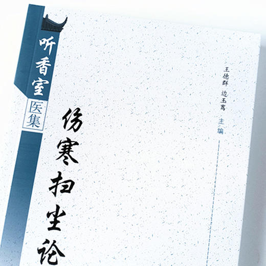 现货 正版【出版社直销】伤寒扫尘论 听香室医集 王德群 边玉鸾 编 中国中医药出版社 中医临床 商品图3